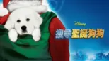 thumbnail - 搜尋聖誕狗狗