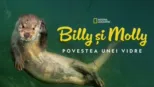 thumbnail - Billy și Molly: Povestea unei vidre