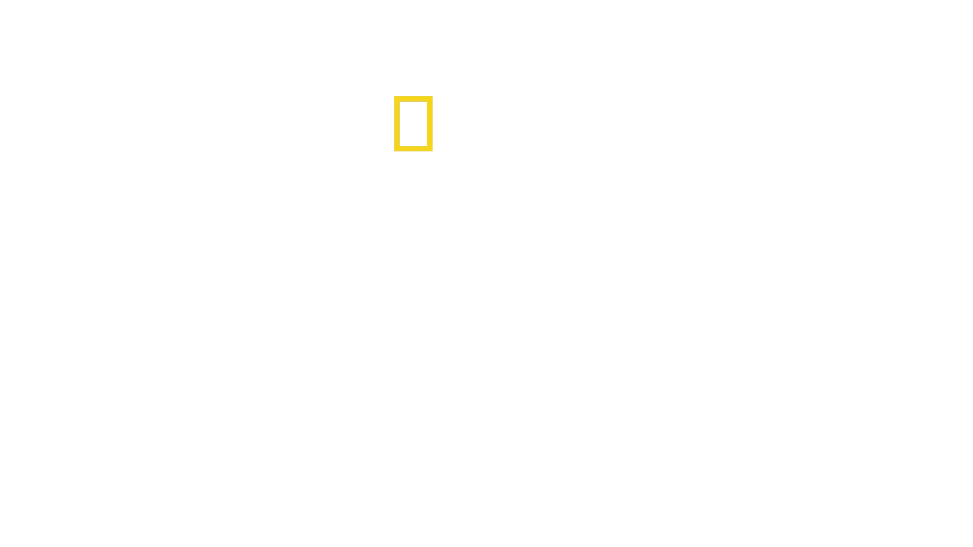 Tajemniczy świat waleni