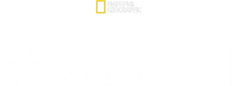 Tajemniczy świat waleni