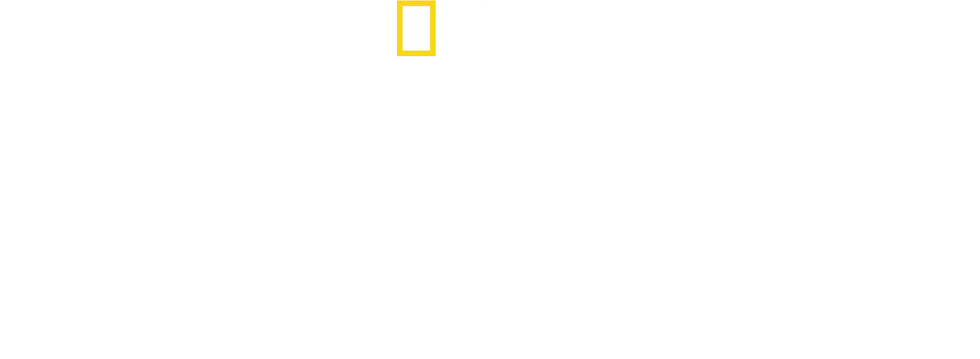 Tajemniczy świat waleni