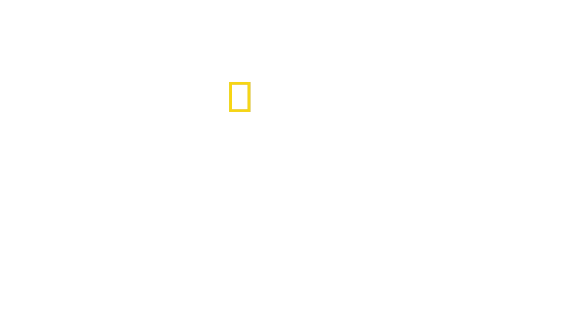 Critter Fixers: Country Vets