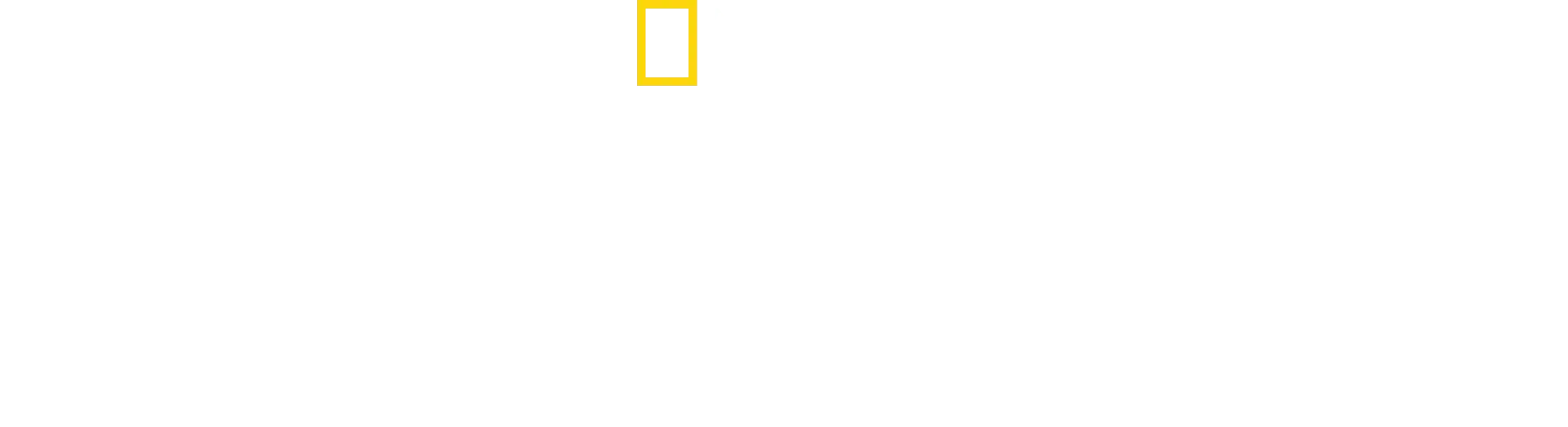 Critter Fixers: Country Vets
