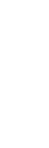开发者