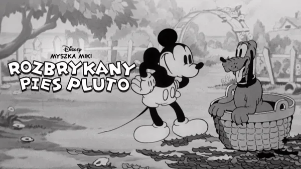 thumbnail - Rozbrykany pies Pluto