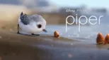 thumbnail - Piper