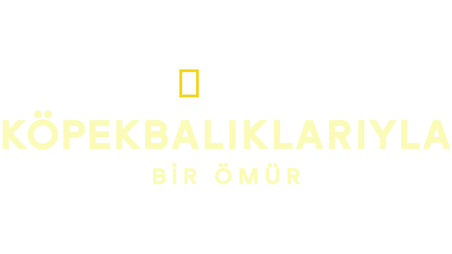 Köpekbalıklarıyla Bir Ömür