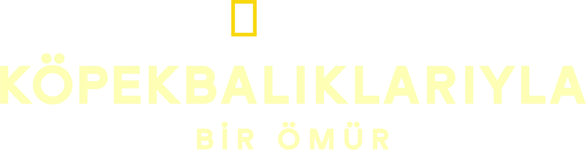 Köpekbalıklarıyla Bir Ömür
