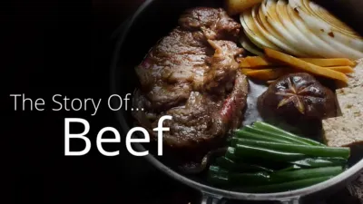 Story of... Beef