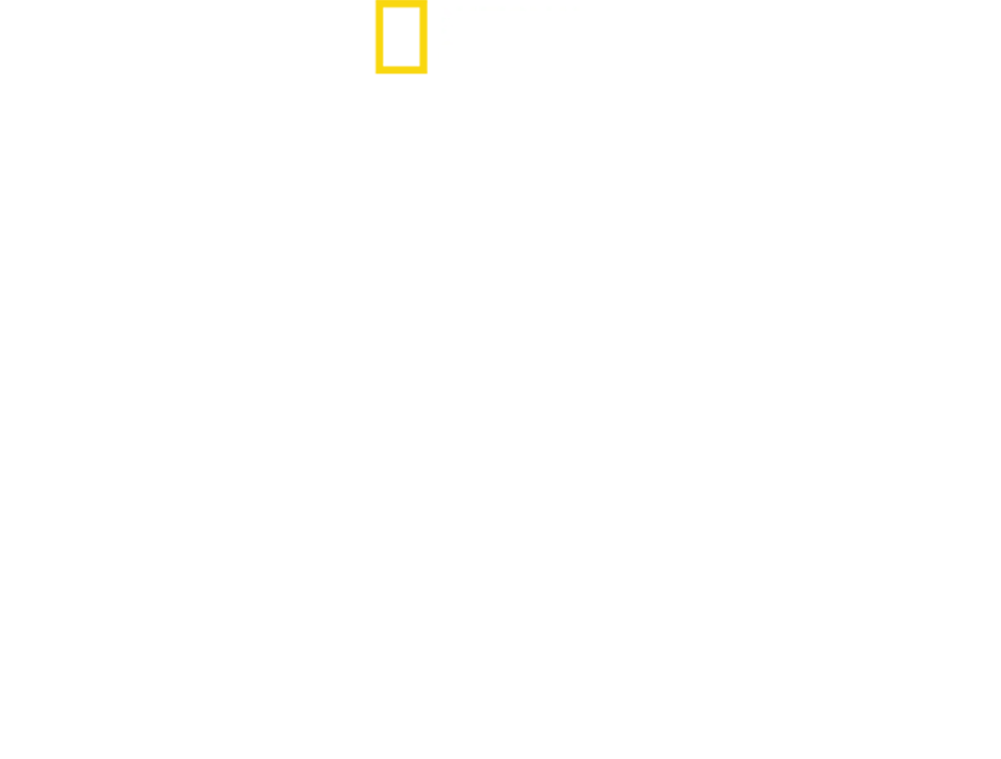 Shark vs. Whale