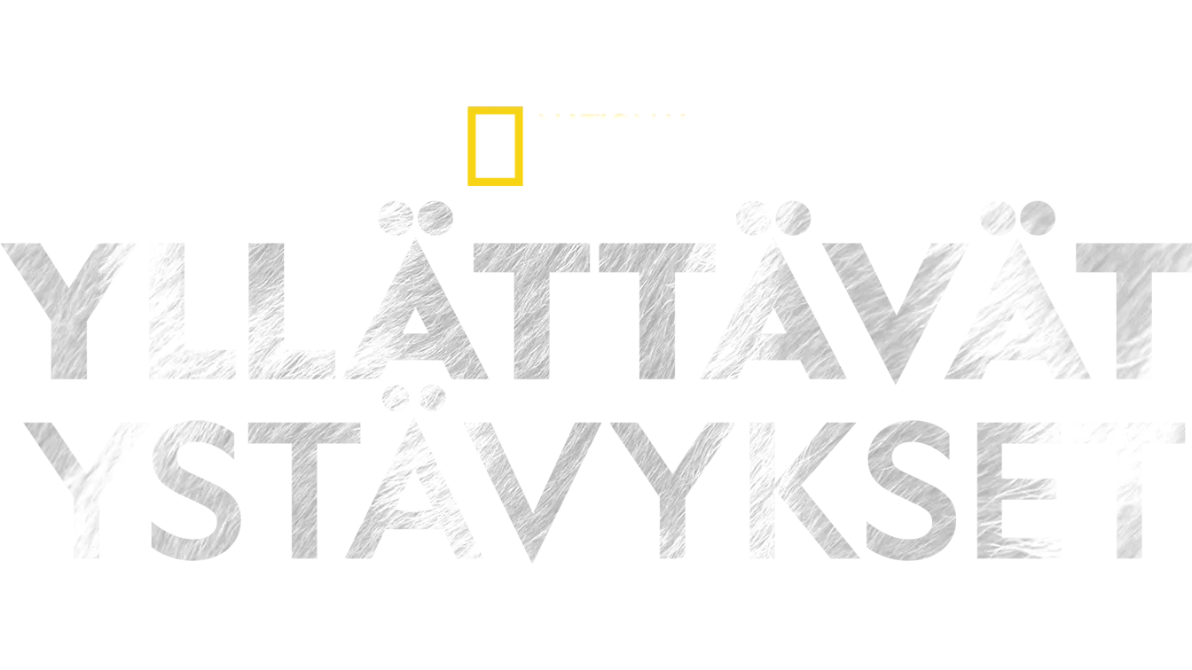 Yllättävät ystävykset