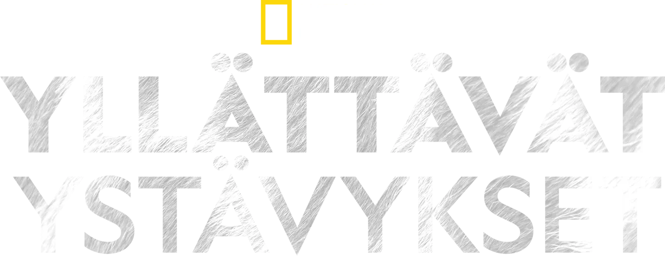 Yllättävät ystävykset