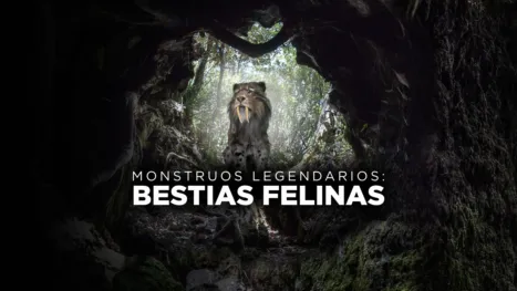 thumbnail - MonsterQuest: Feline Beasts