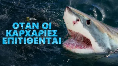 Όταν οι Καρχαρίες Επιτίθενται