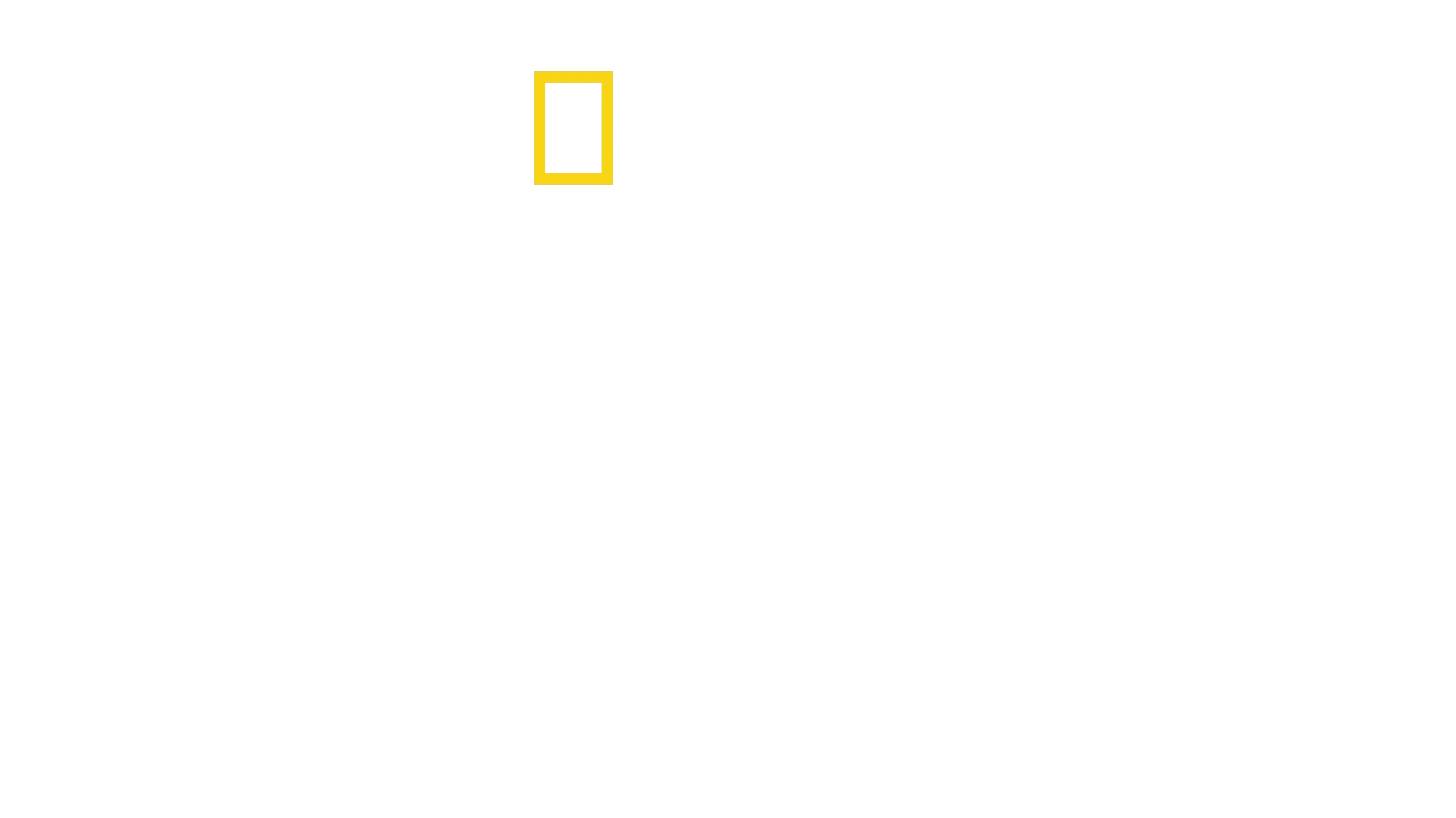 Szczęki: 50 lat kinowego hitu