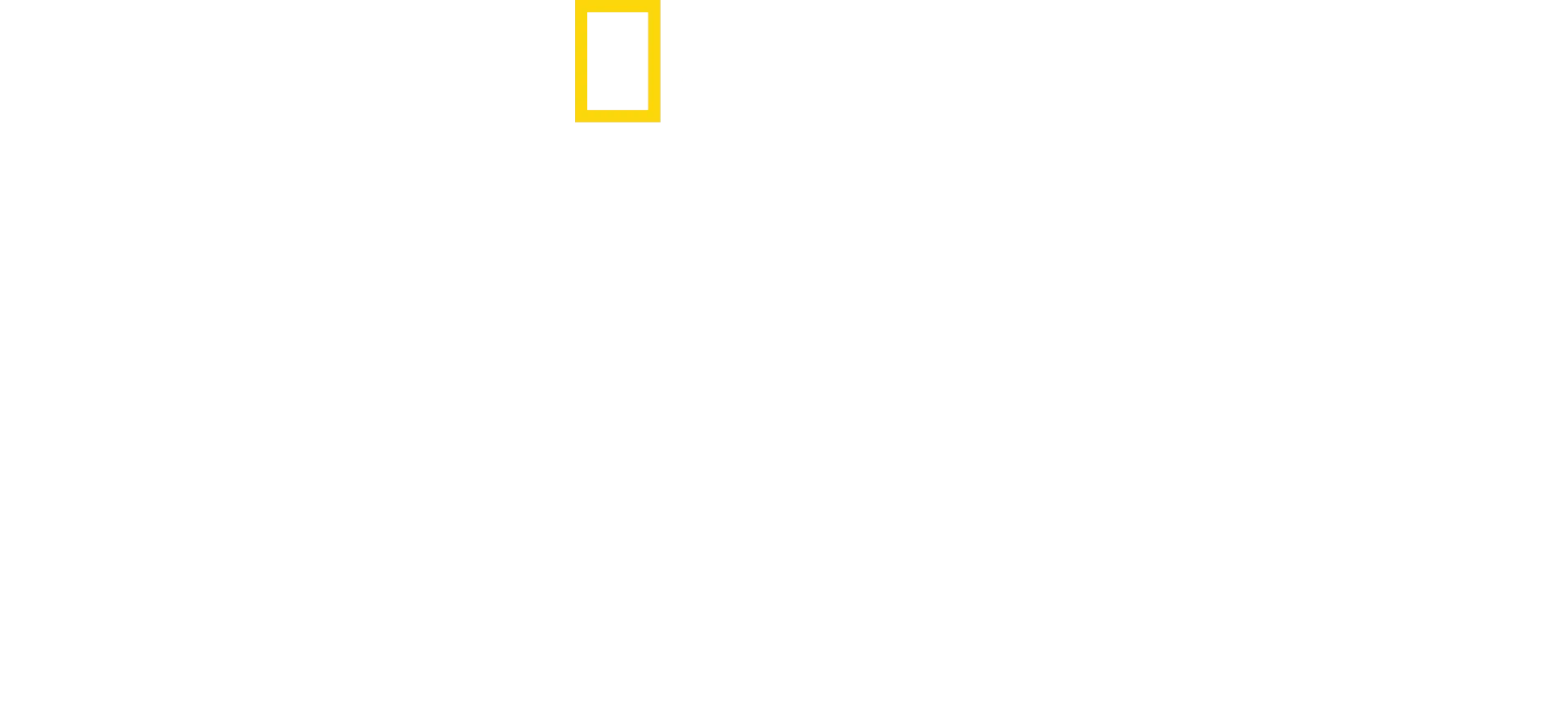 Szczęki: 50 lat kinowego hitu