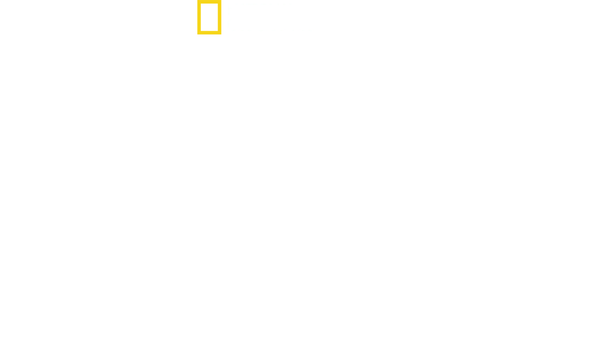 Fuori dal mondo