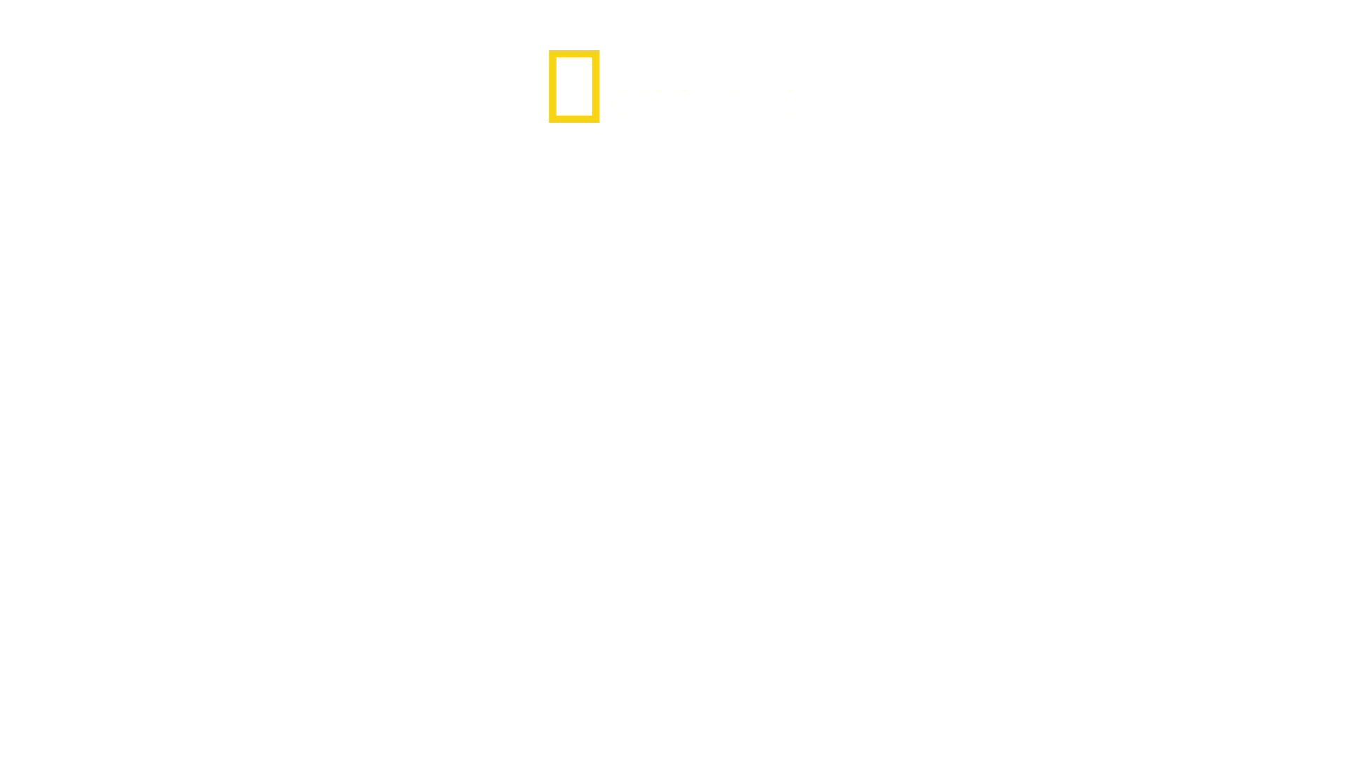 Hitlers siste kamp
