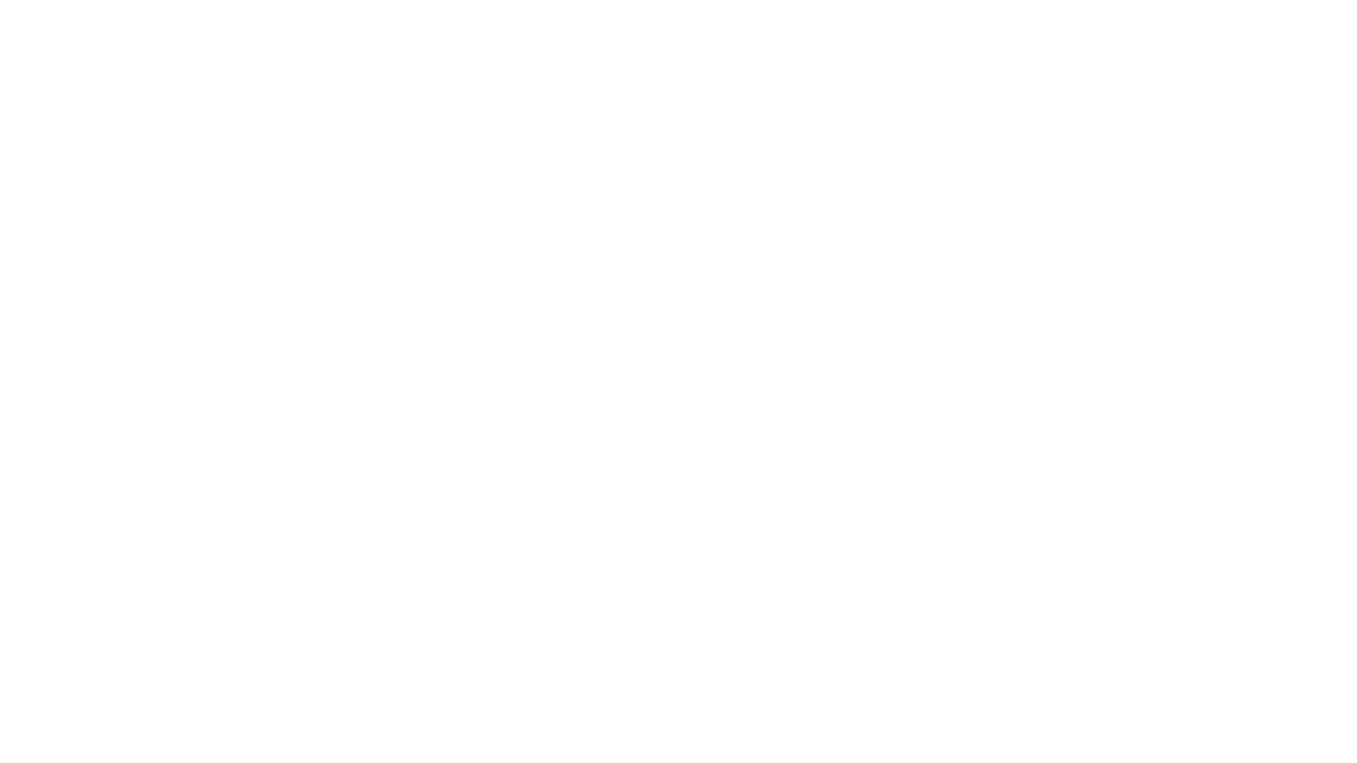 The Internship