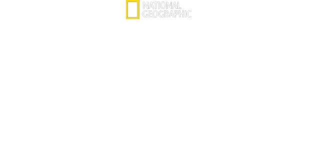 Ville Yellowstone