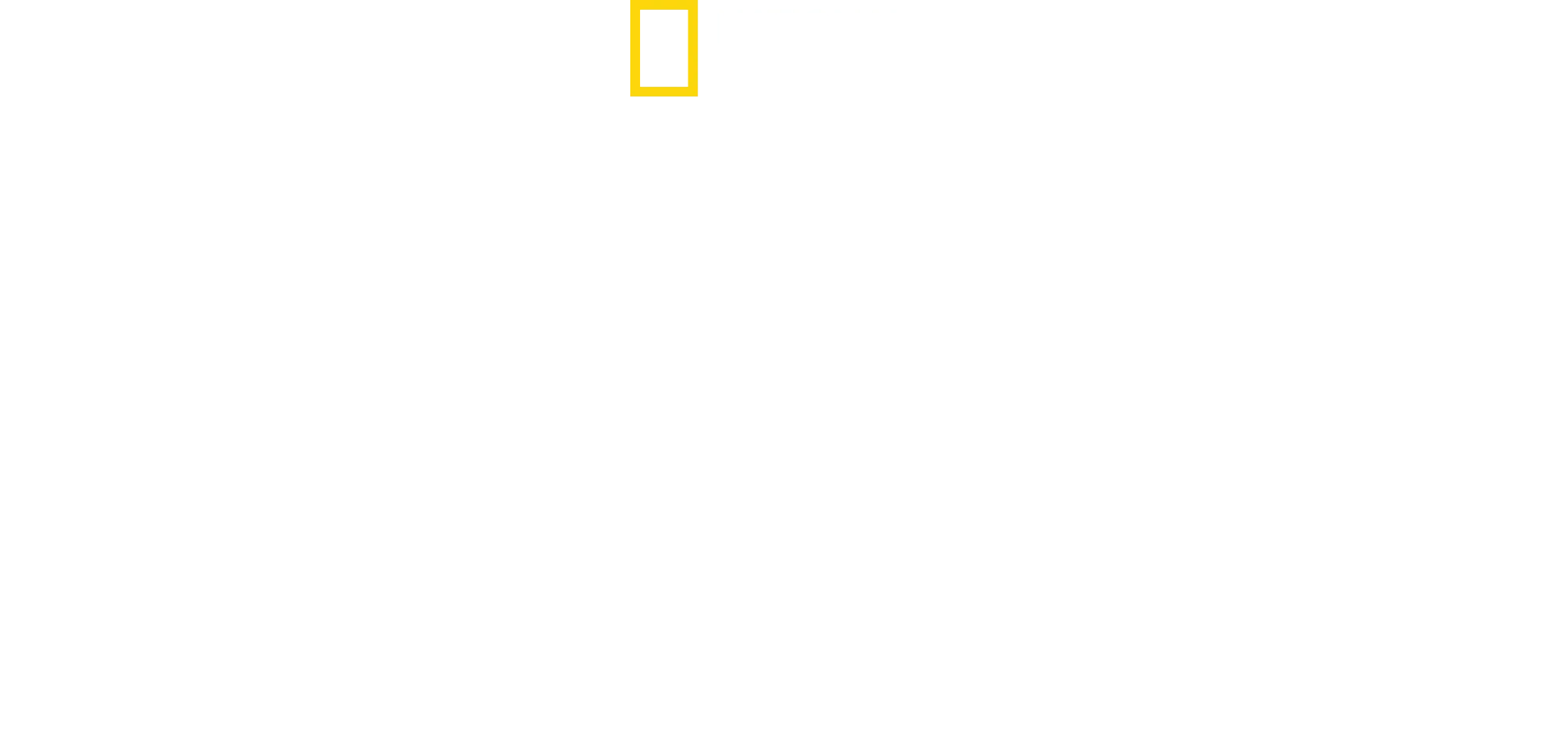 Ville Yellowstone