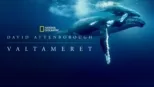 thumbnail - Ocean with David Attenborough