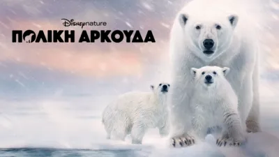 thumbnail - Πολική Αρκούδα