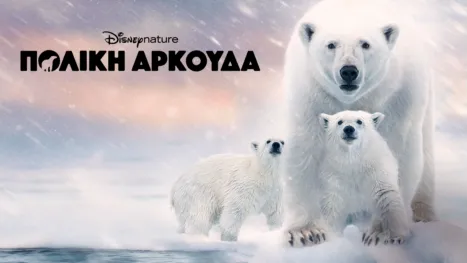 thumbnail - Πολική Αρκούδα