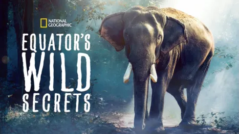 thumbnail - Equator’s Wild Secrets