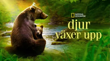 thumbnail - Djur växer upp