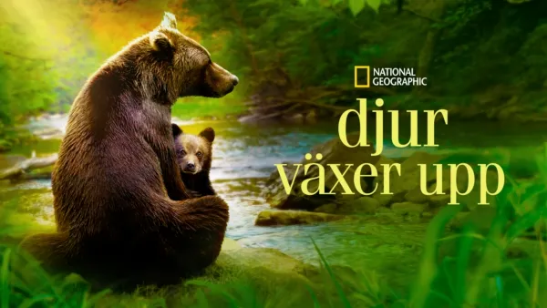 thumbnail - Djur växer upp