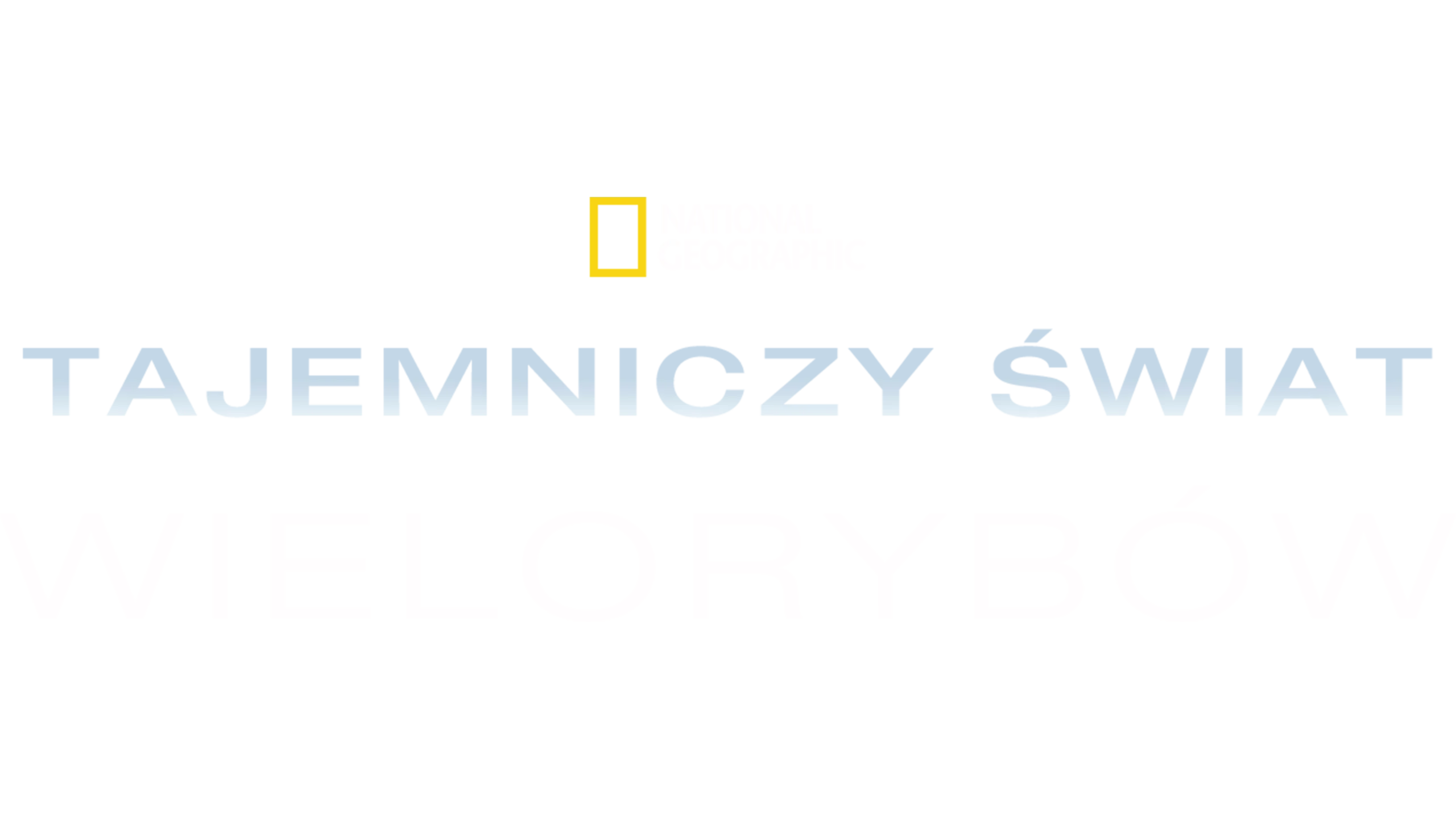 Tajemniczy świat wielorybów