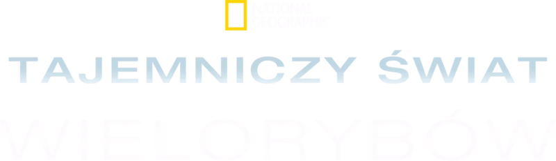 Tajemniczy świat wielorybów