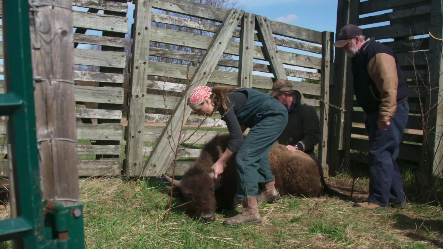 thumbnail - S4:E5 No Bull