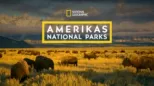 thumbnail - Amerikas Nationalparks: Faszination Wildnis