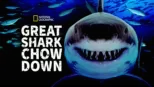 thumbnail - Great Shark Chow Down