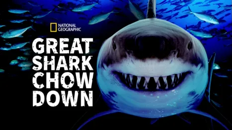 thumbnail - Great Shark Chow Down