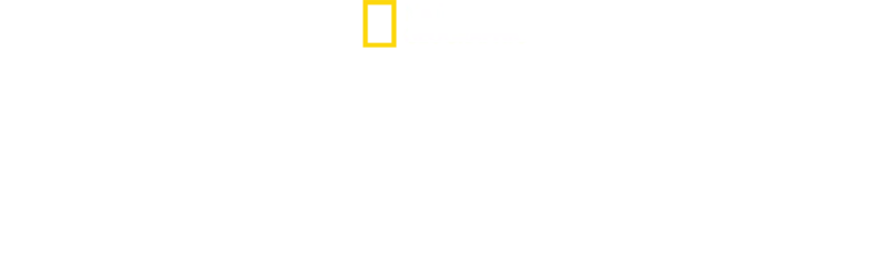 Alex Honnold ile Arktik Tırmanışı