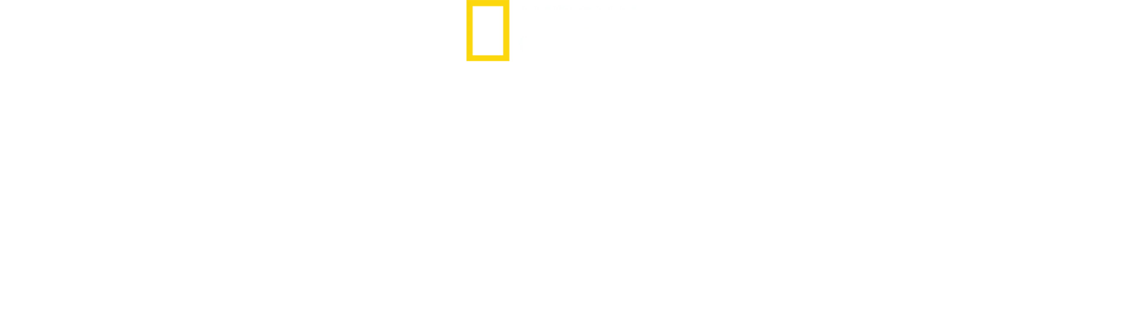 Alex Honnold ile Arktik Tırmanışı