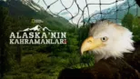 thumbnail - Alaska'nın Kahramanları