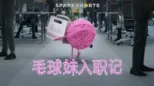 thumbnail - 毛球妹入职记