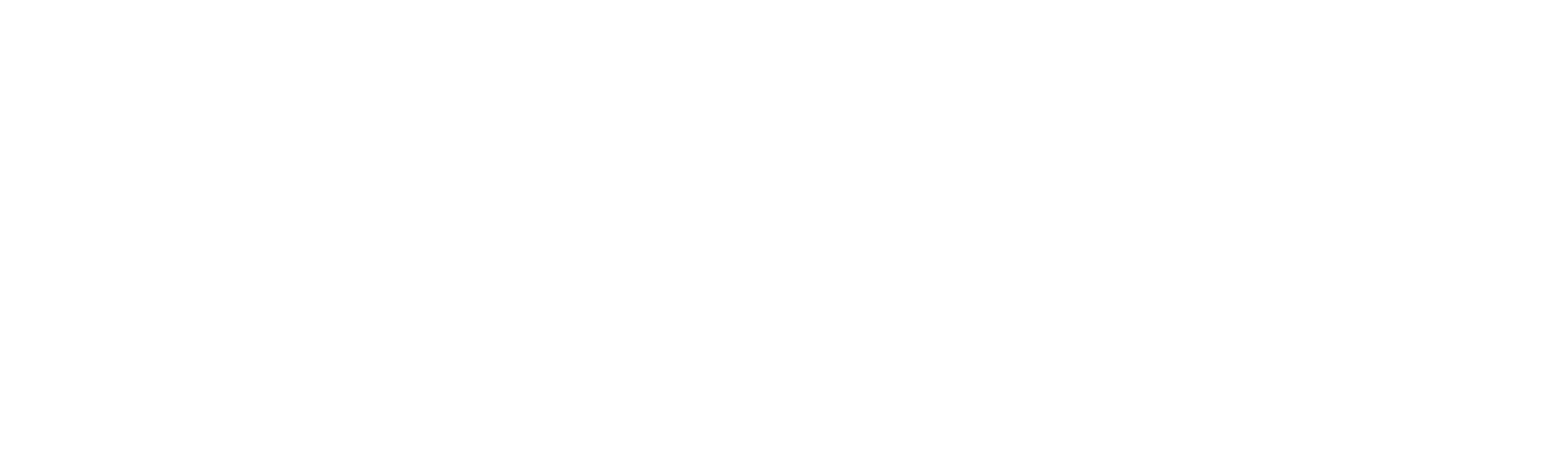 The Chelsea Detective