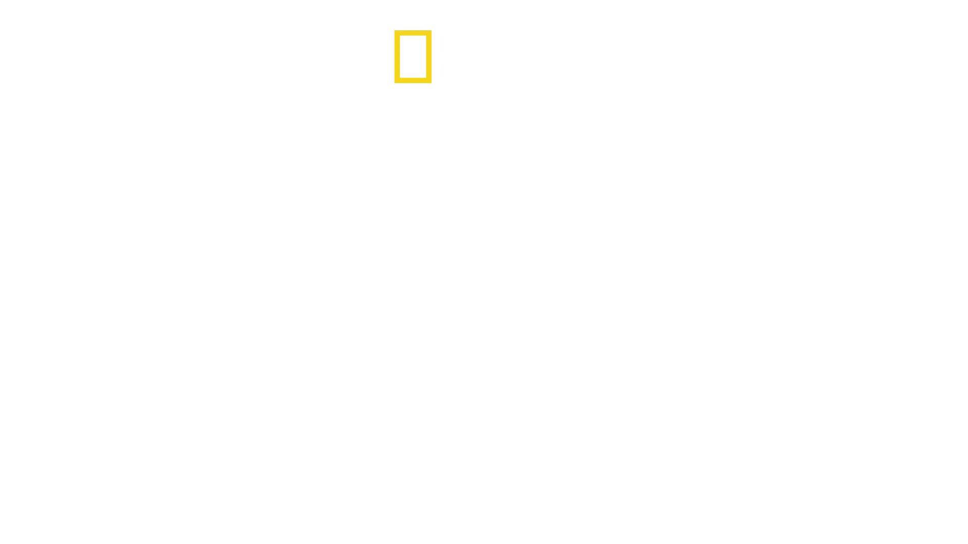 Hitler’s Last Stand