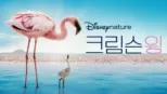 thumbnail - 크림슨 윙
