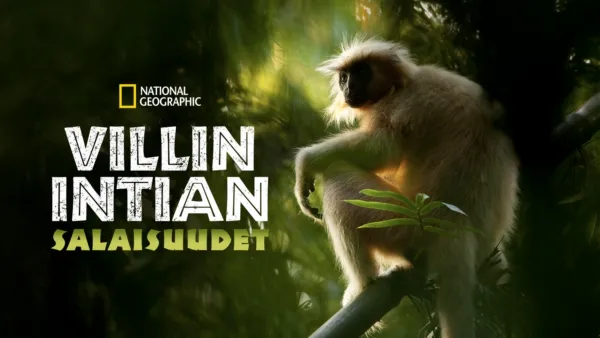 thumbnail - Villin Intian salaisuudet