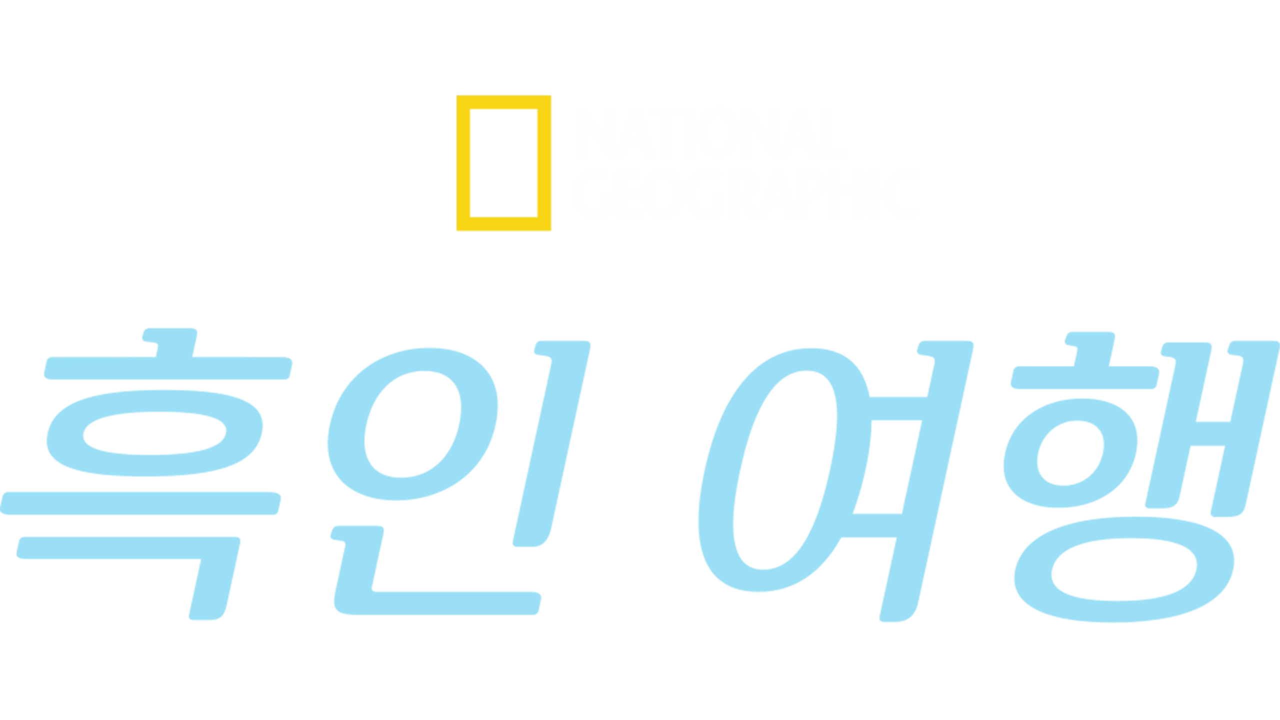 흑인 여행