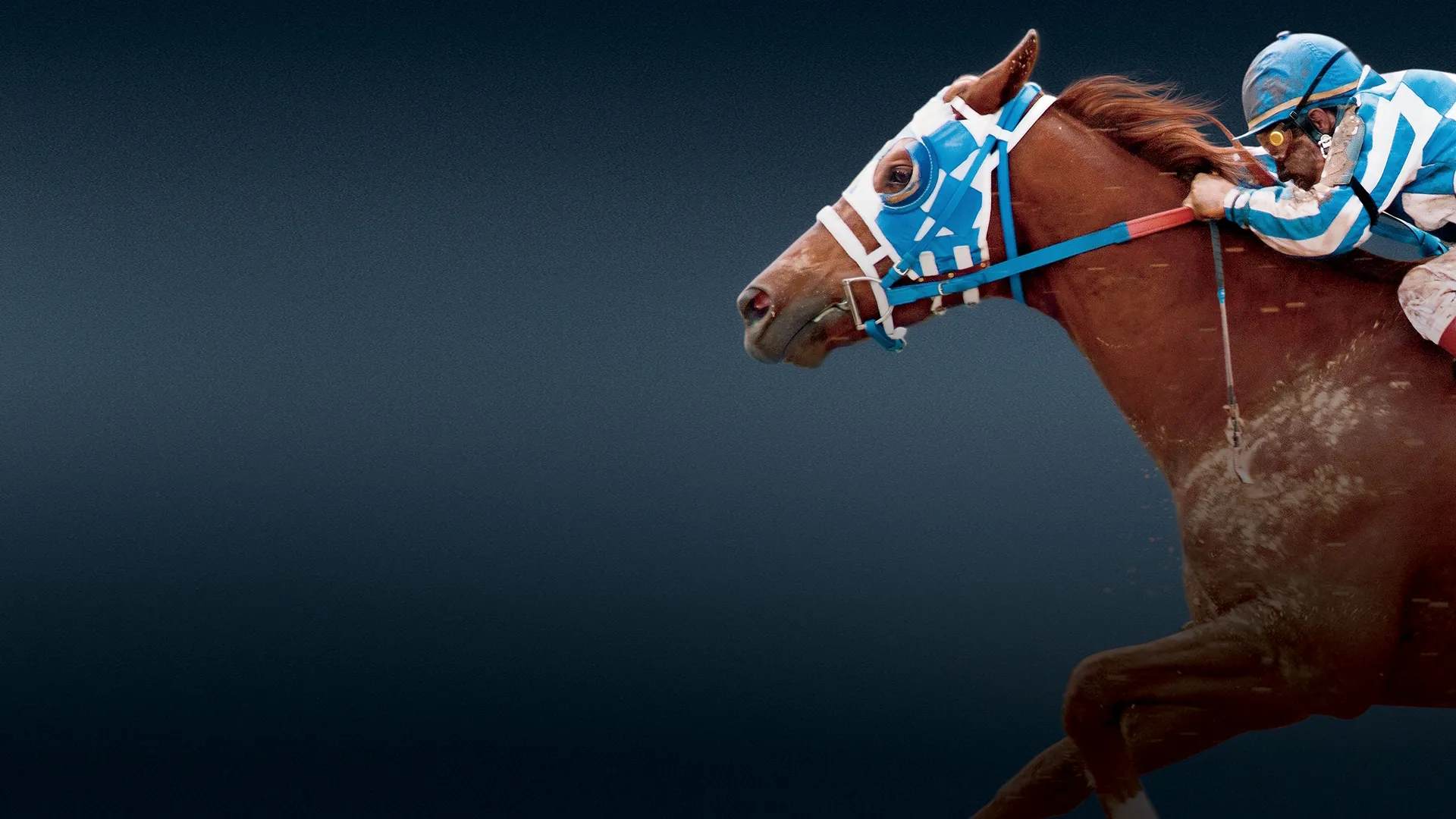 Secretariat – Ein Pferd wird zur Legende