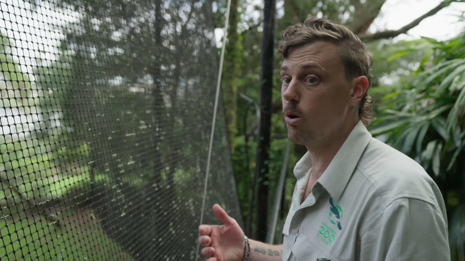 thumbnail - S5:E10 Savannah Elephants