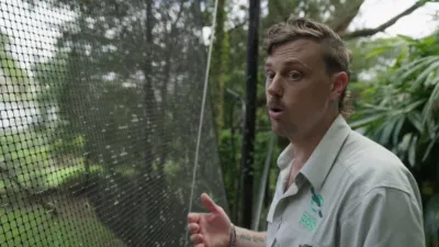 thumbnail - S5:E10 Savannah Elephants