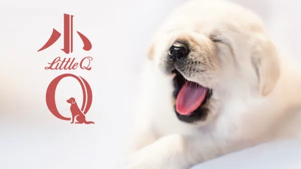 thumbnail - 小Q